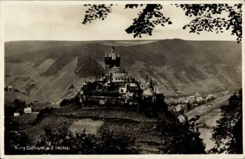 Ak Cochem an der Mosel, Burg  Mosel, Weinberge, Landschaft