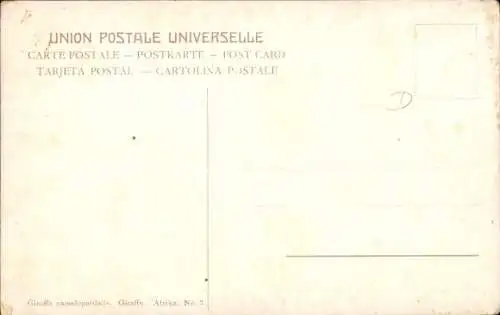 Künstler Ak Zwei Giraffen im Zoo, Giraffa camelopardalis