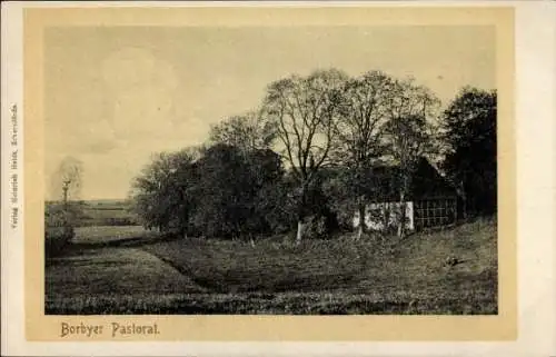 Ak Schnaap Borby Eckernförde Schleswig-Holstein, Pastorat, landwirtschaftliche Landschaft, Bäume,