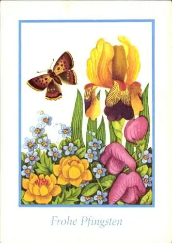 Ak Glückwunsch, Pfingsten, Blumen, Schmetterling