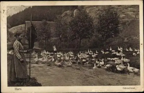 Ak Harz, Landwirtschaft, Gänse, Frau in Schürze
