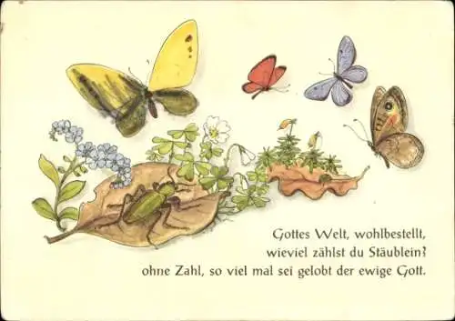 Ak Gottes Welt, wohlbestellt, wieviel zählst du Stäublein? Schmetterlinge, Käfer