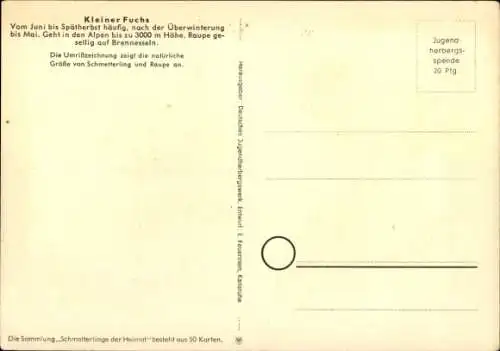 Ak Schmetterlinge der Heimat, Kleiner Fuchs