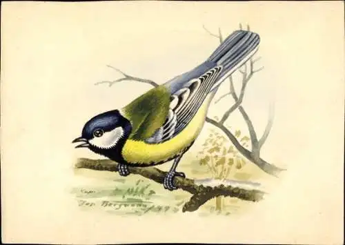 Künstler Ak Kohlmeise, Vogel