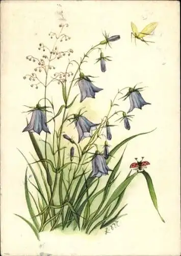 Künstler Ak Blumen, Marienkäfer, Deutsches Rotes Kreuz