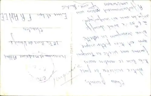 Ak Kamele, Kamelkampf