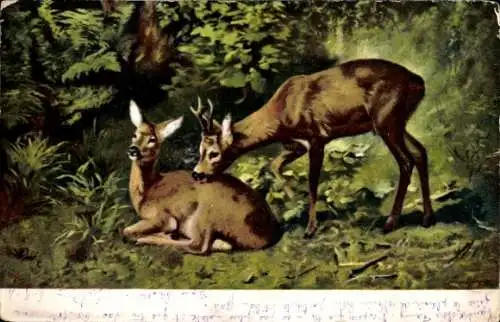 Künstler Ak Waldpartie, Hirsche