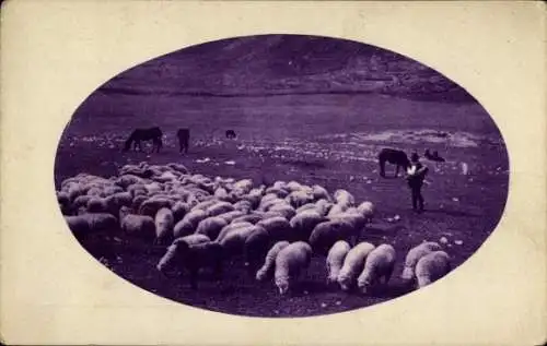 Ak Landwirtschaft, Schafherde, Hirte, Schafe