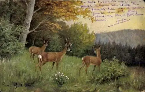 Künstler Ak Waldpartie, Hirsche