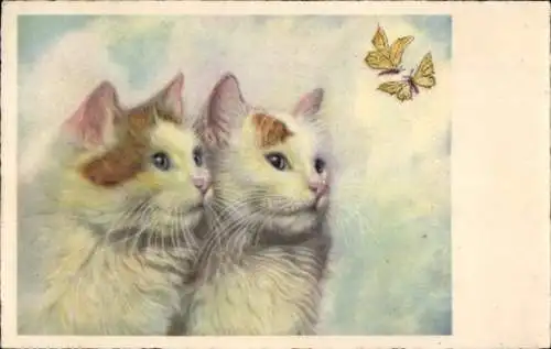 Ak Erpen Dissen am Teutoburger Wald, Zwei weiße Katzen schauen nach oben, wo zwei Schmetterlin...