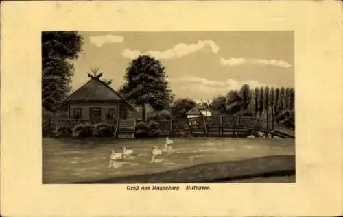Ak Magdeburg an der Elbe, Mittagsee, Schwäne