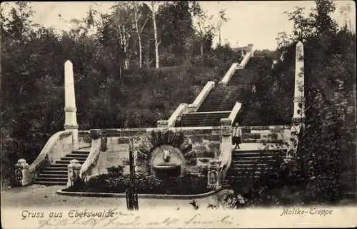 Ak Eberswalde in Brandenburg, Moltketreppe