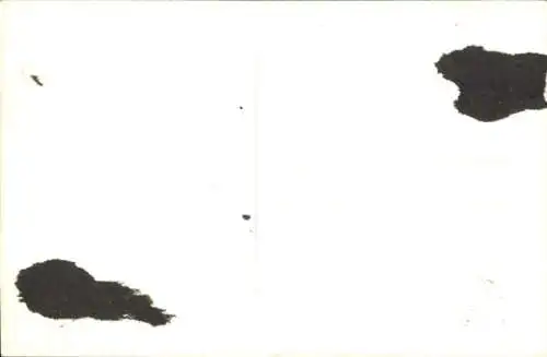 Ak Hawaii USA, Tänzer