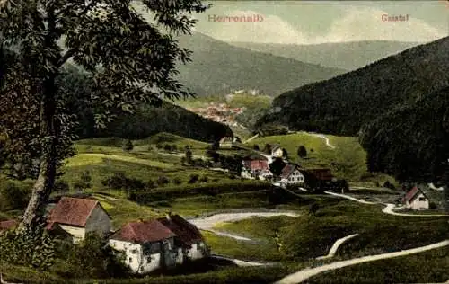 Ak Bad Herrenalb im Schwarzwald, Gesamtansicht, Gaistal