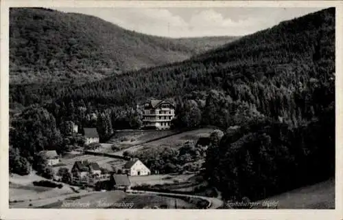 Ak Johannaberg Berlebeck Detmold im Teutoburger Wald, Berlebeck Johannaberg, Waldlandschaft, G...