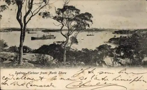 Ak Sydney Australien, Sydney Harbour vom North Shore, Schiffe im Hafen, Bäume im Vordergrund