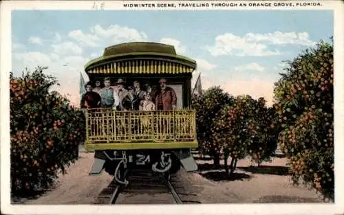 PC Orange Grove Florida USA, Midwinter Scene, Traveling Through