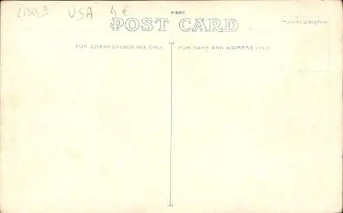 PC Orange Grove Florida USA, Midwinter Scene, Traveling Through