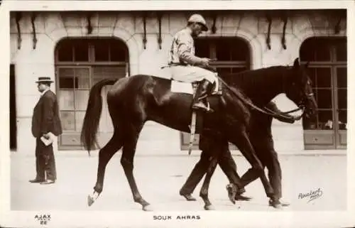 Ak Souk Ahras, Jockey auf einem Rennpferd