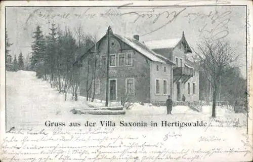 Ak Hertigswalde Sebnitz Sächsische Schweiz, Villa Saxonia, Winter