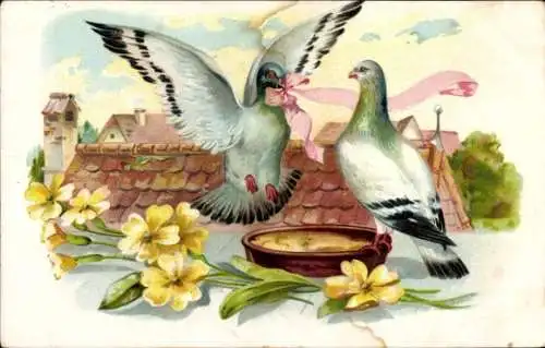 Präge Ak Glückwunsch Pfingsten, Zwei Tauben, Rosa Schleife, Gelbe Blumen