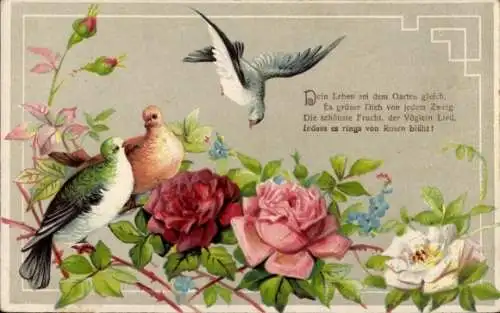 Präge Ak Rosen, Blumen, Tauben, Kitsch