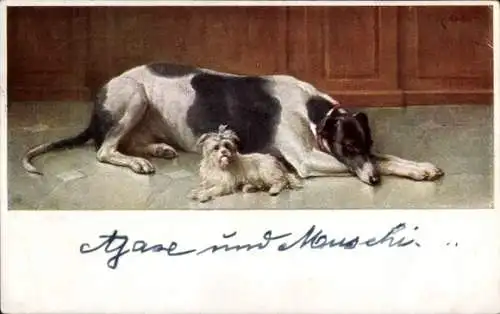 Künstler Ak Reichert, C., Windhund und Schoßhund, Munk Nr 765