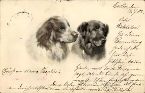Litho Zwei Hunde, Gemaltes Porträt