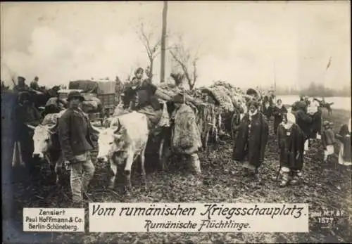 Ak Rumänischer Kriegsschauplatz, rumänische Flüchtlinge, Rinder, I WK