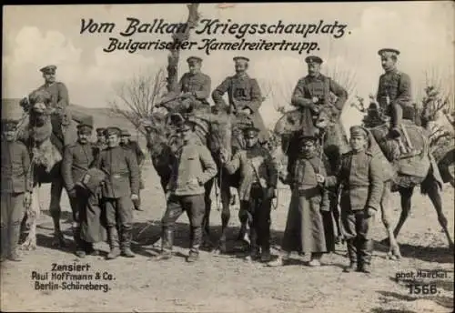 Ak Balkan Kriegsschauplatz, Bulgarischer Kamelreitertrupp, I WK