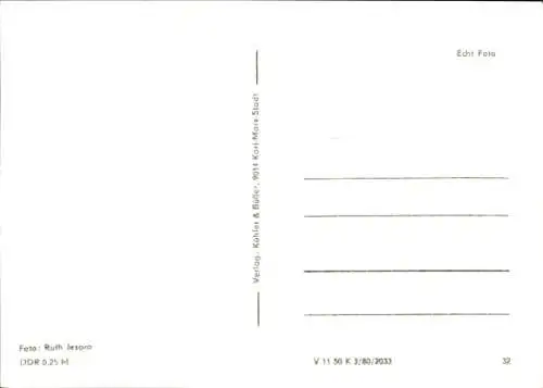 Ak Grasende Pferde, Kalb