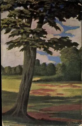 Ak Walim Wüstewaltersdorf Schlesien, Motiv: Baum, Wiese und blauer Himmel