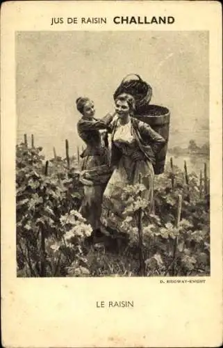 Künstler Ak Ridgway Knight, Daniel, Traubensaft Challand, Tauben, Reklame