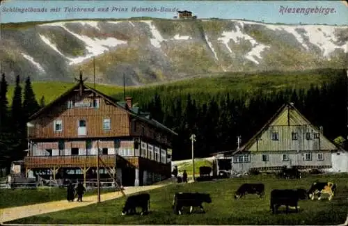 Ak Riesengebirge Schlesien, Schronisko na Starej Polanie, Schlingelbaude, Prinz Heinrich Baude