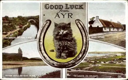 Ak Ayr Schottland, Katze, Hufeisen, Tea Gardens, Burns Cottage, Greehan Castle, Esplanade