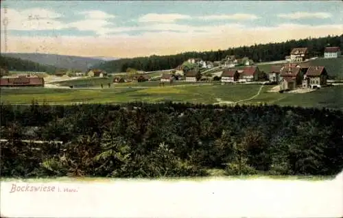 Ak Hahnenklee Goslar Harz, Bockswiese, Totalansicht