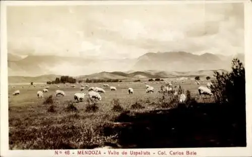 Ak Mendoza Argentinien, Valle de Uspallata