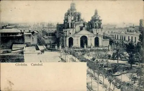 Ak Córdoba Argentinien, Catedral, historische Architektur, Pflanzen im Vordergrund, monochrome...