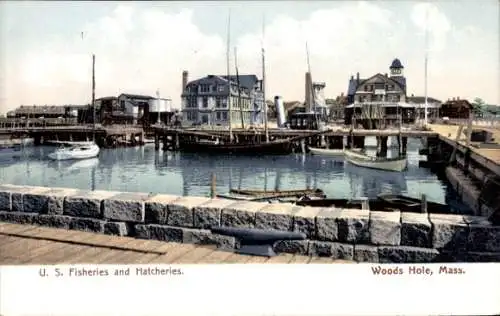 PC Woods Hole Massachusetts USA, U. S. Fisheries and Hatcheries