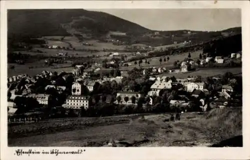 Ak Železná Ruda Markt Eisenstein Reg. Pilsen, Gesamtansicht