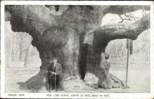 PC Edwinstowe Nottinghamshire England, Major Oak