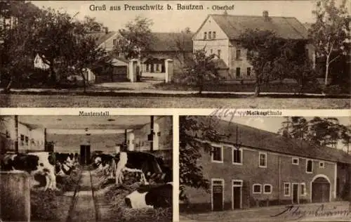Ak Preuschwitz Doberschau in der Oberlausitz, Gruß aus  Oberhof, Musterstall, Melkerschule