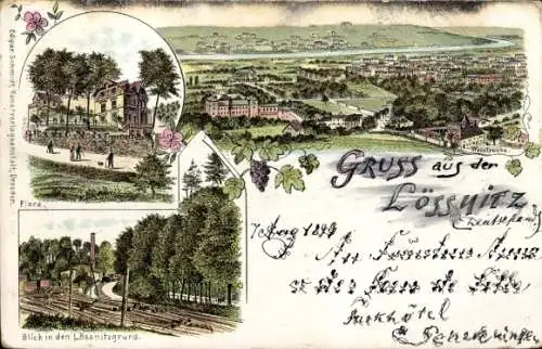 Litho Lössnitz Lößnitz Radebeul Sachsen, Panorama, Flora, Lössnitzgrund