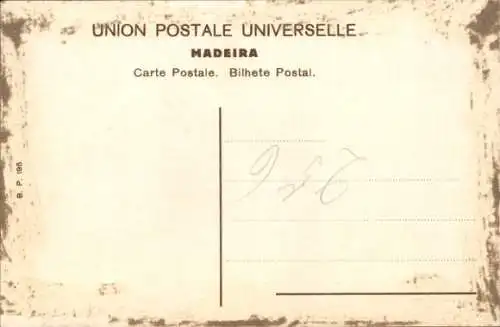 Ak Insel Madeira Portugal, Gesamtansicht