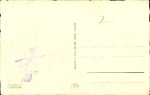 Ak Triptis in Thüringen, Markt