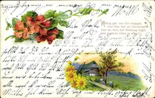 Litho Kitsch, Wohnhaus, Wiese, Blumen