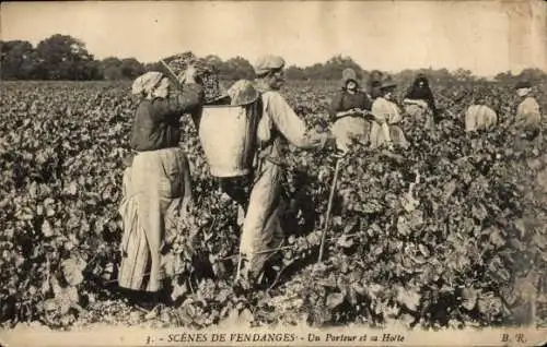 Ak Combressol Corrèze, , Szene aus der Weinlese. Ein Träger und seine Trage.