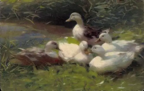 Künstler Ak Enten am Teich