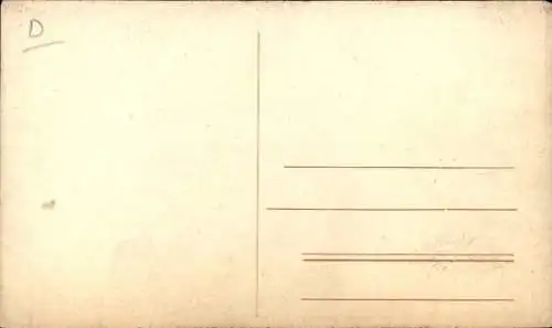 Ak Zoologischer Garten, Robben