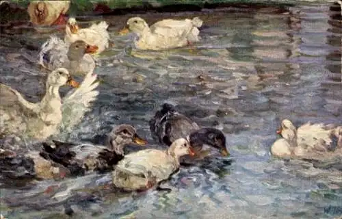 Künstler Ak Teich, Enten